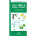 Oregon Trees & Wildflowers: A Folding Pocket Guide to Familiar Plants