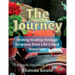 The Journey: Finding Healing through Scripture from Life's Hard Questions