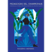 Pedagogías del cimarronaje: cosmogonías y cosmovisiones africanas y afrodescendientes como crítica y literaturas (afro)latinoamericanas