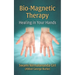 Bio-Magnetic Therapy: Healing in Your Hands