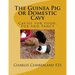 The Guinea Pig or Domestic Cavy: Cavies for Food, Fur and Fancy
