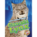 Canada Lynx