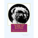 Toy Dogs: How To Rear and Breed Them: Being the Life of a Brussels Griffon