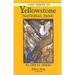Day Hikes in Yellowstone National Park