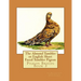 The Almond Tumbler or English Short Faced Tumbler Pigeon: Pigeon Breeds Book 3