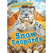 Snow Leopards