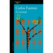 El Naranjo / The Orange Tree