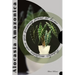 Alocasia Amazonica: Popular mistakes when you growing PLANT at home