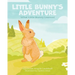 Little Bunny's Adventure: What Little Bunny Learned