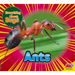 Ants