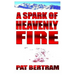 A Spark of Heavenly Fire