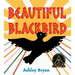 Beautiful Blackbird