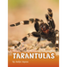 Tarantulas