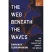 The Web Beneath the Waves: The Fragile Cables That Connect Our World
