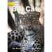 Big Cats