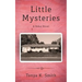 Little Mysteries: A Debut Novel