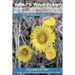 What's your plan?: Manage side effects of chemo & other cancer treatments