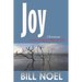 Joy: A Folly Beach Christmas Mystery