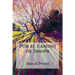 Por el camino de Swann