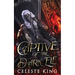 Captive of the Dark Elf