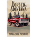 Forged in Montana--Silo Springs Ranch book 1