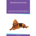 Bloodhound Activities Bloodhound Tricks, Games & Agility. Includes: Bloodhound Beginner to Advanced Tricks, Series of Games, Agility and More