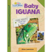 Baby Iguana