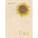 Ilse
