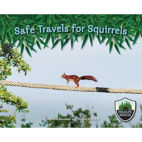 Safe Travels for Squirrels