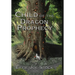 Child of the Dragon Prophecy