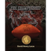 The Championship: The story of the 1969 University of South Carolina football team