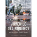 Juvenile Delinquency: Why Do Youths Commit Crime?