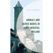 Animals and Sacred Bodies in Early Medieval Ireland: Religion and Urbanism at Clonmacnoise
