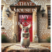 Is That a Mouse in My House?