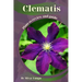 Clematis: Plant overview and guide