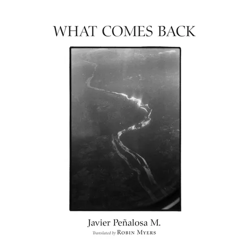 What Comes Back