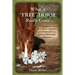 What a "Free" Horse Really Costs: A Guide to Expenses and Responsibilities of Horse Ownership