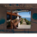 Building a Home that Loves You: A Post and Beam Architectural Philosophy