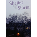 Shelter from the Storm: An Anthology