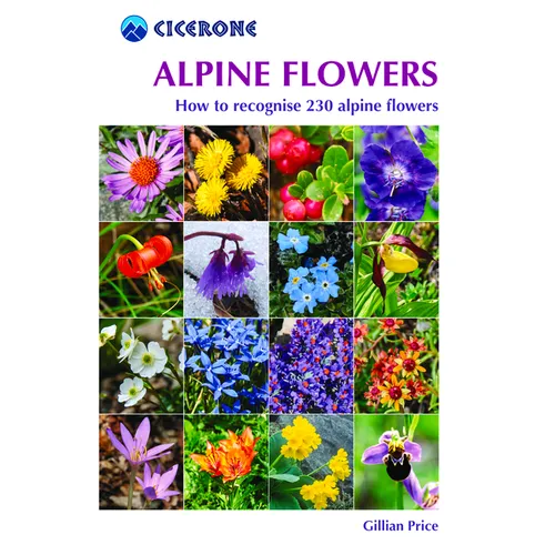 Alpine Flowers: How to Recognize Over 200 Alpine Flowers