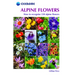 Alpine Flowers: How to Recognize Over 200 Alpine Flowers