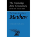 The Gospel According to Matthew