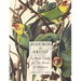 Audubon as Artist: A New Look at the Birds of America