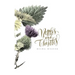 Nettles and Thistles