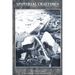 Universal Craftsmen