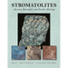 Stromatolites: Ancient, Beautiful, and Earth-Altering