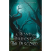 A Bond Of Darkness And Discord