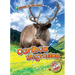 Caribou Migration