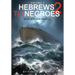 Hebrews to Negroes 2 Volume 3: Wake Up Black America