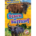 Bison or Buffalo?